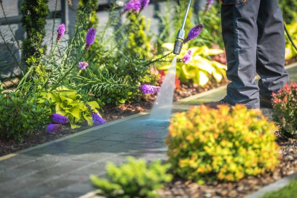 Best Driveway Pressure Washing  in Highlandville, MO